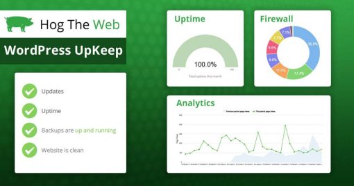 Wordpress Maintenance & Support Plans