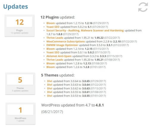 Wordpress updates service plans