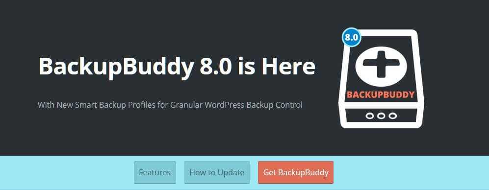 BackUp Buddy for WordPress